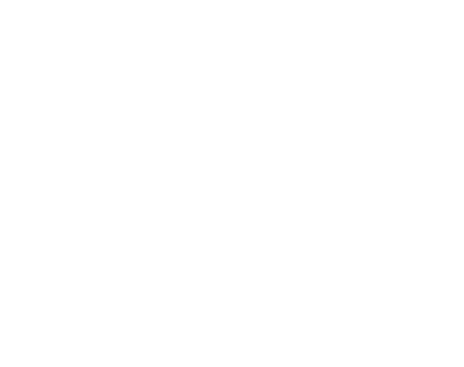 Logo Schornsteinfeger Wittmaak